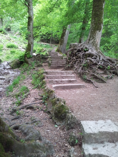 15.05.2012 - Uracher Wasserfall_04