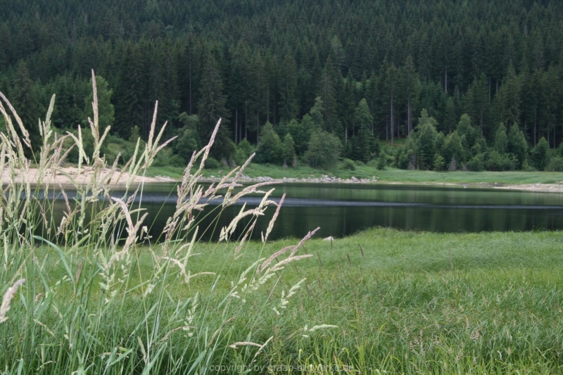 10.07.2015 - Schluchsee_11