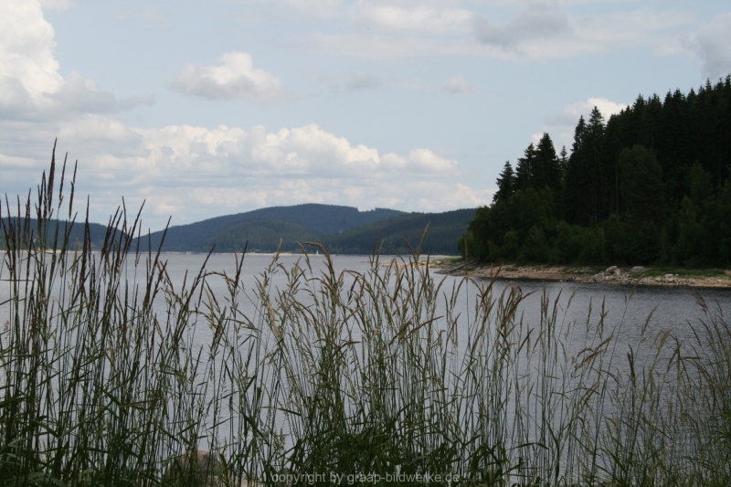 10.07.2015 - Schluchsee_13