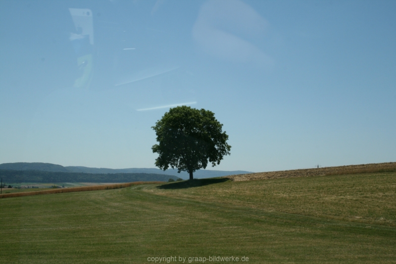 10.07.2015 - Schluchsee_32