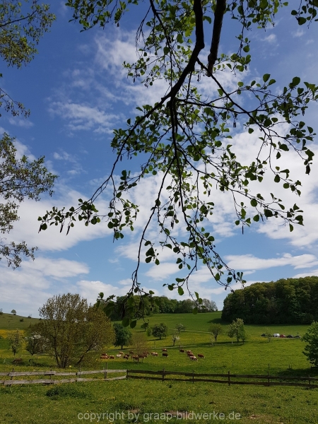 29.04.2018 - Ziegelhütte_03