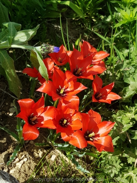 29.04.2018 - Ziegelhütte_02