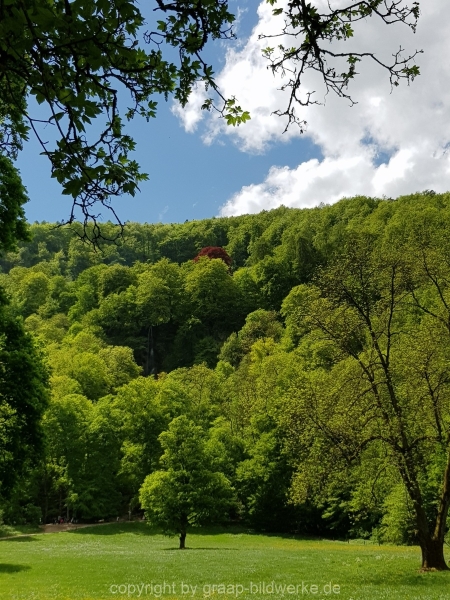 20180430_132449