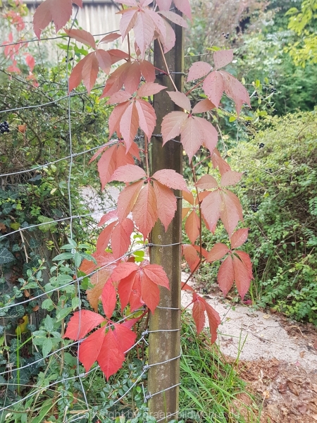 20181003_090845