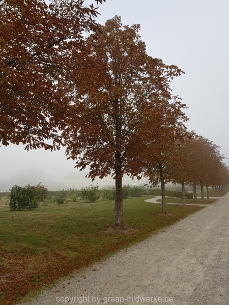 20181004_101441