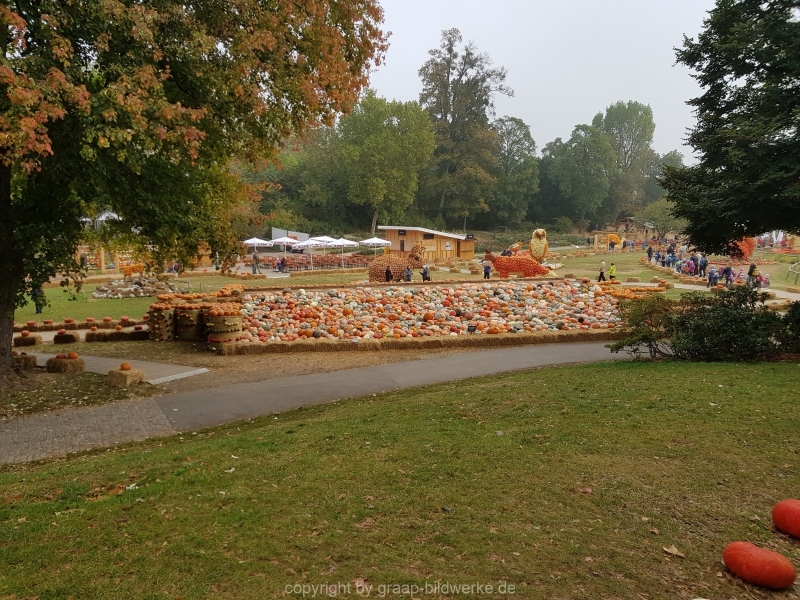 20181004_103352