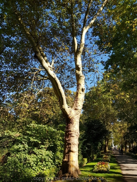 20181004_140148