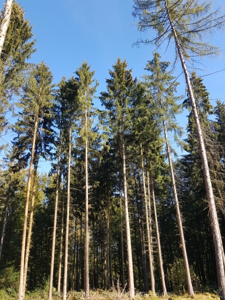 20181005_105851