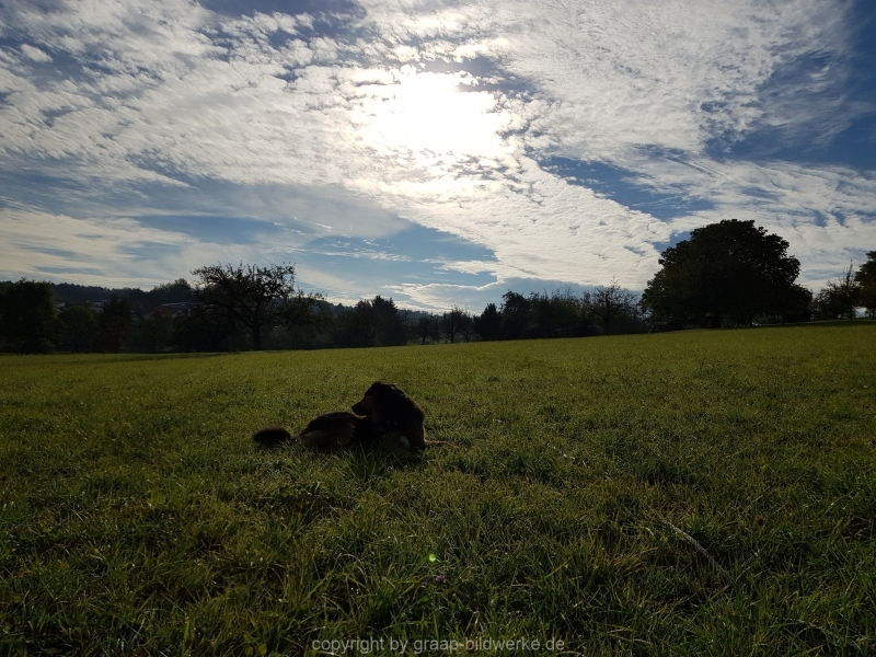20181006_095621