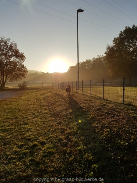 20181011_081749