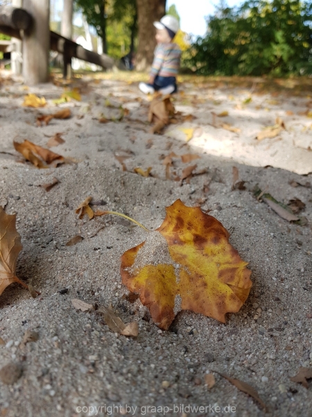 20181011_142956