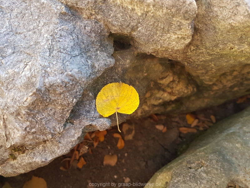 20181014_152436