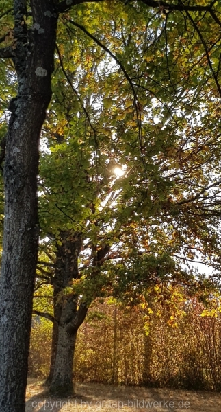 20181102_123714