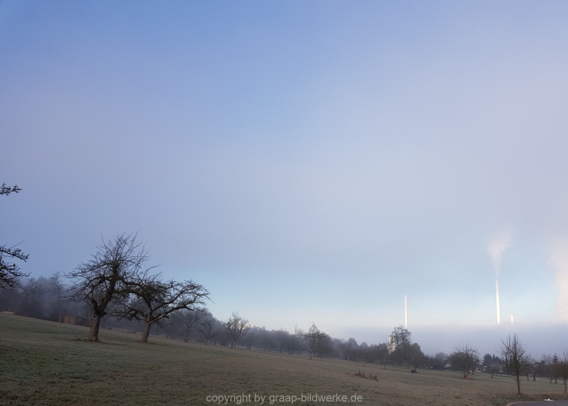 20181218_092249-2
