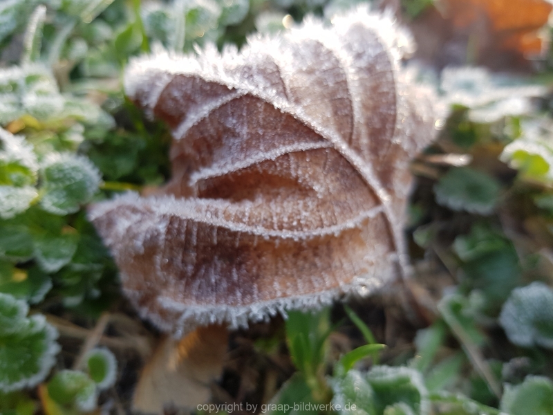 20181228_095202