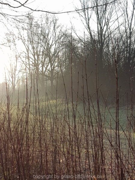 08.02.2019 - Regentropfen_05