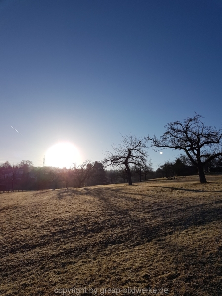 13.02.2019 - Spaziergang_01