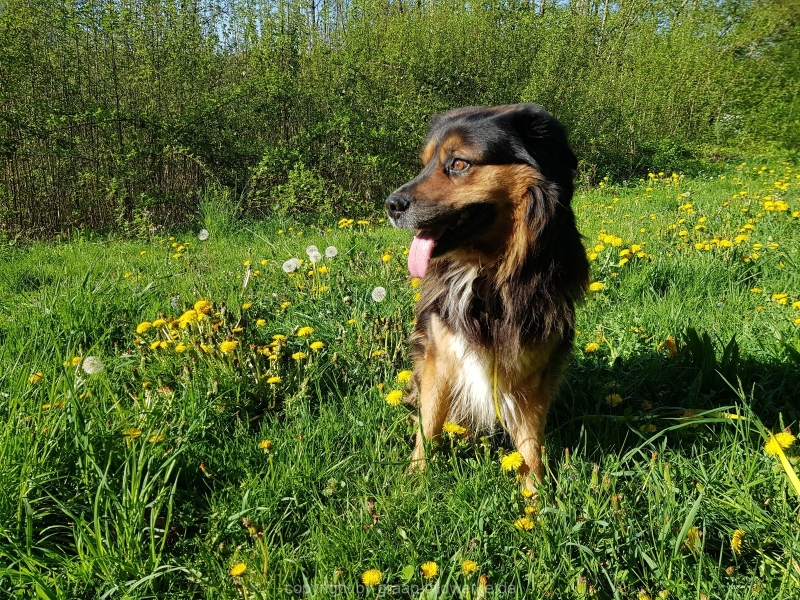 20.04.2019 - Spaziergang mit Marco_01