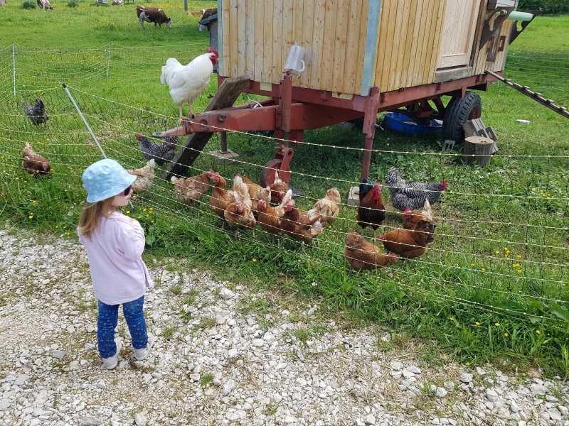 30.05.2019 - Ziegelhütte auf der Schwäbischen Alb_08