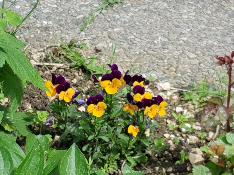 30.05.2019 - Ziegelhütte auf der Schwäbischen Alb_06
