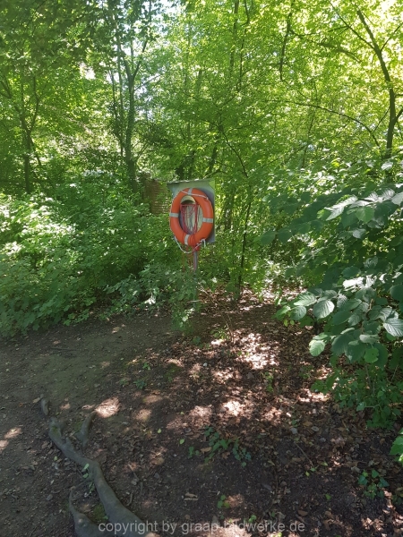 18.06.2019 - Farbtupfer in der Natur_01