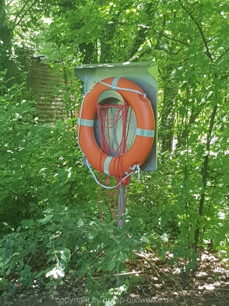 18.06.2019 - Farbtupfer in der Natur_03
