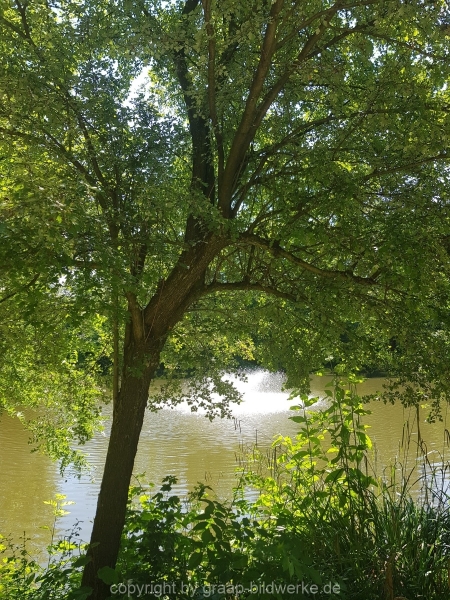 18.06.2019 - Farbtupfer in der Natur_04