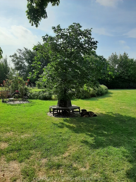 06.08.2019  - Bauernhof / Blütenliebe_07