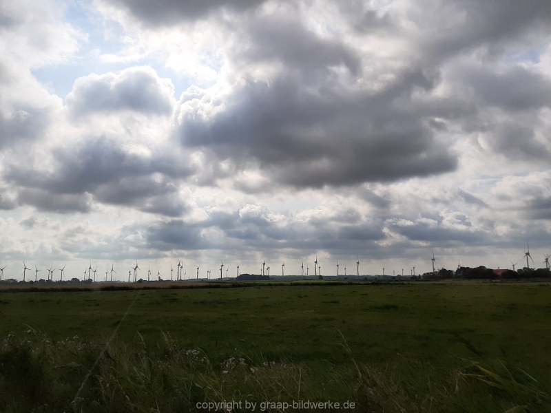 06.08.2019  - Bauernhof / Blütenliebe_10