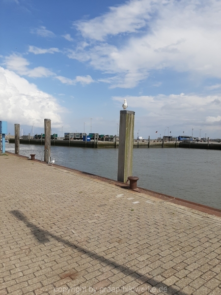 07.08.2019 - Hafenliebe_14