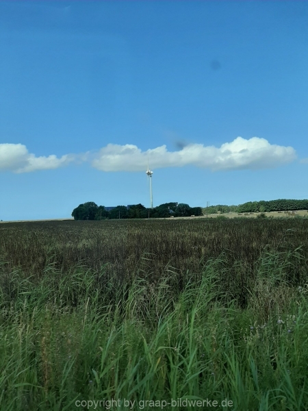 07.08.2019 - Hafenliebe_15