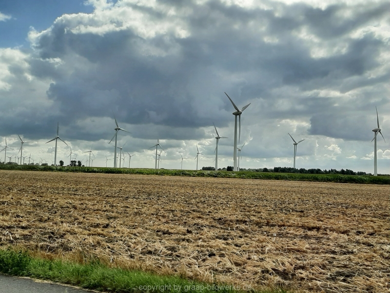 08.08.2019 - Nordseeliebe_06