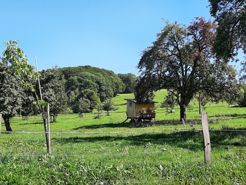 18.08.2019 - Ziegelhütte auf der schwäbischen Alb