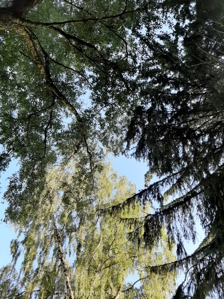 13.09.2019 - Ausflug_01