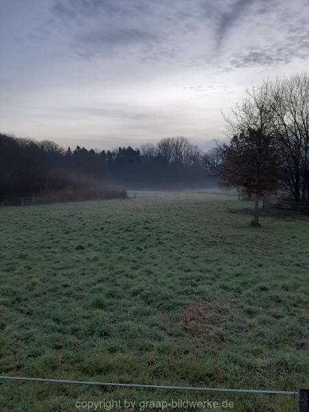 11.12.2019 - Sonnenaufgang Uhingen