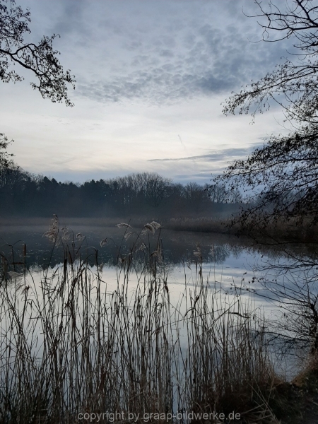 19.12.2019 - Morgenstimmung am Charlottensee_01