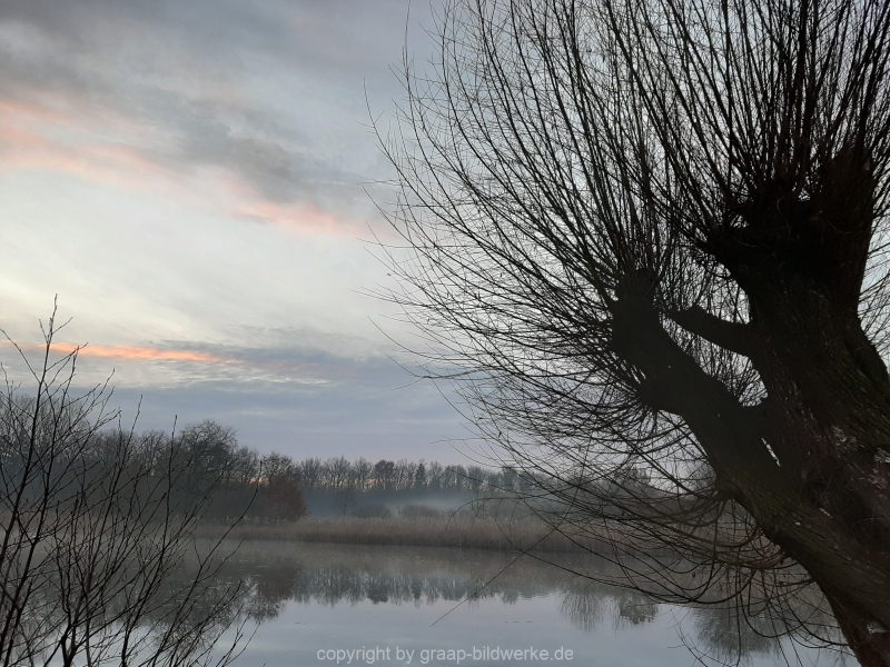 19.12.2019 - Morgenstimmung am Charlottensee_09