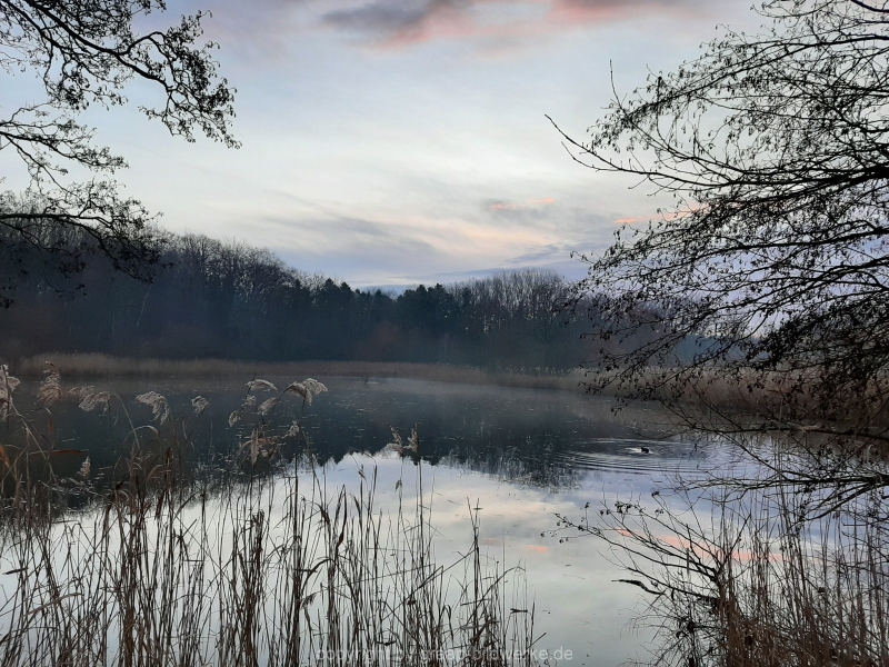 19.12.2019 - Morgenstimmung am Charlottensee_10