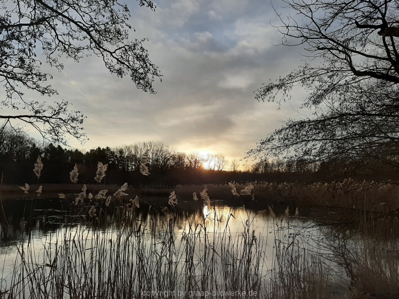 20.12.2019 - Morgenstimmung am Charlottensee_02