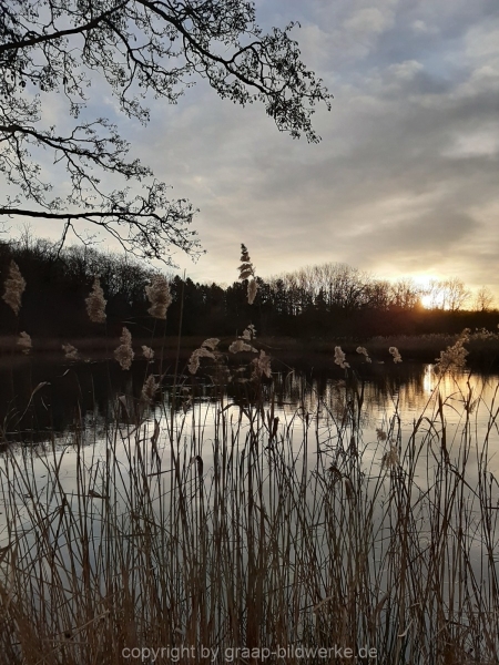 20.12.2019 - Morgenstimmung am Charlottensee_06