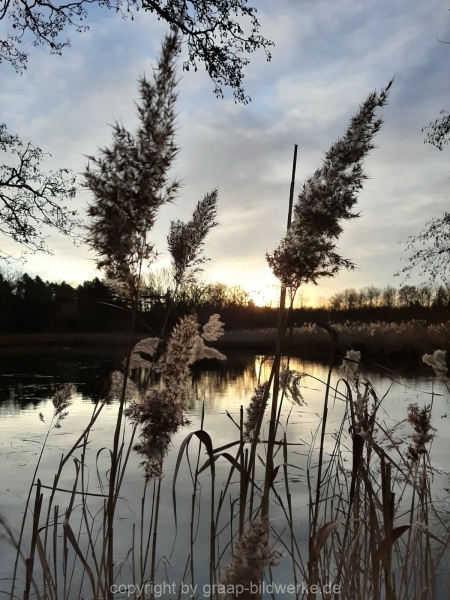 20.12.2019 - Morgenstimmung am Charlottensee_05
