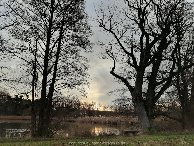 20.12.2019 - Morgenstimmung am Charlottensee_13
