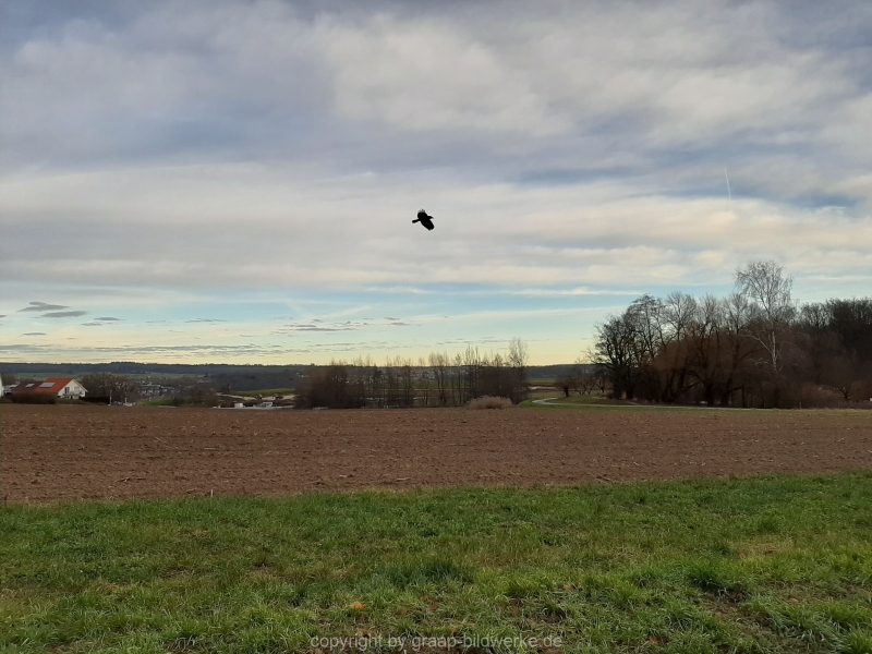 20.12.2019 - Morgenstimmung am Charlottensee_10