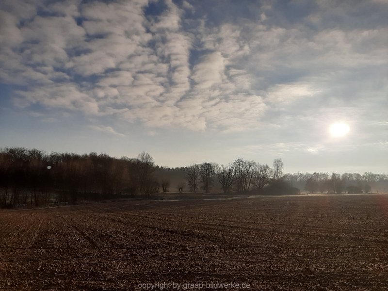 28.12.2019 - Morgenstimmung am Charlottensee_15