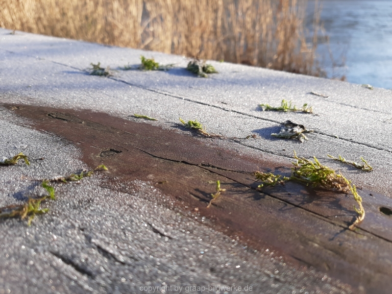 29.12.2019 - Morgenstimmung am Charlottensee_22