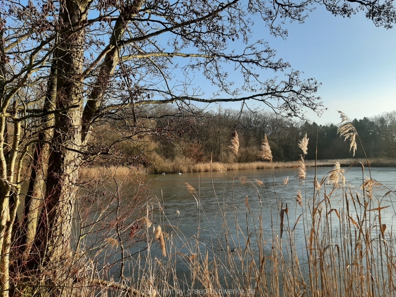 29.12.2019 - Morgenstimmung am Charlottensee_26