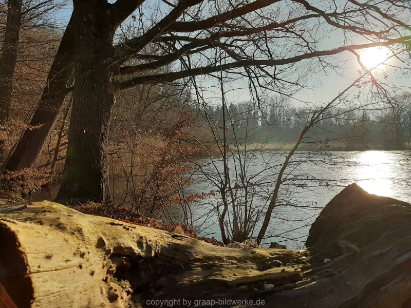 29.12.2019 - Morgenstimmung am Charlottensee_34