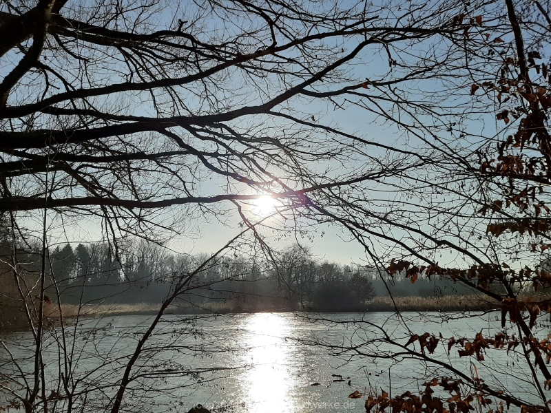 29.12.2019 - Morgenstimmung am Charlottensee_35