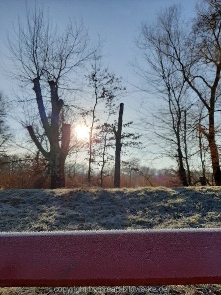 29.12.2019 - Morgenstimmung am Charlottensee_40