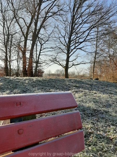29.12.2019 - Morgenstimmung am Charlottensee_44